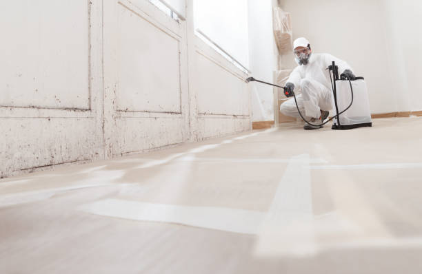 24/7 Emergency Black Mold Remediation experts in Capron, IL